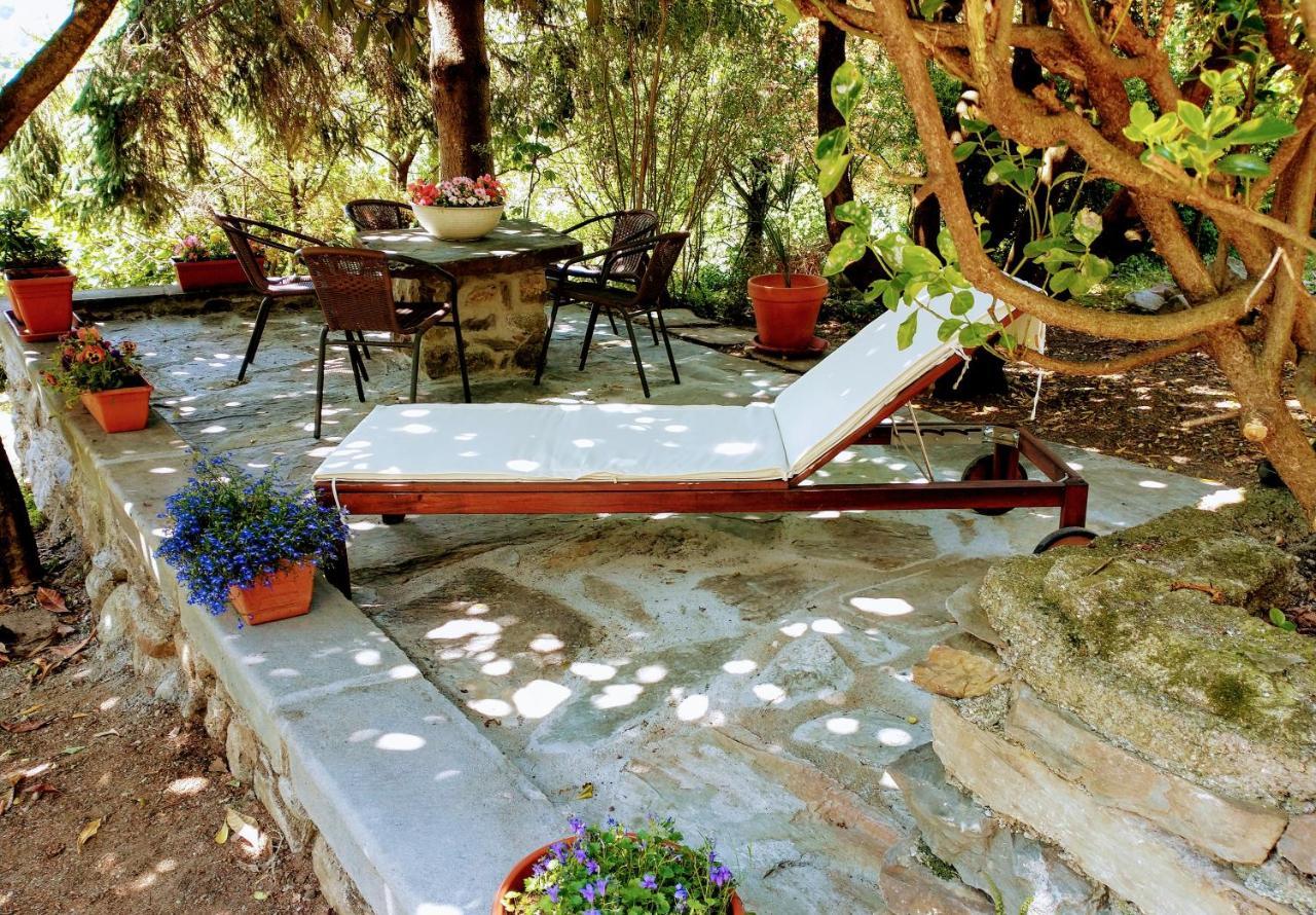Casa Visnenza Bed & Breakfast Capo di Ponte Extérieur photo